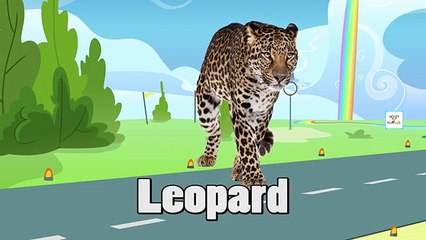 Kinder Surprise Eggs Wild Life Animals For Kids - Learn Wild Animals& Animals Sound & Names