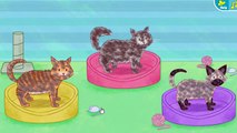 Curious George Pet Day Care - Curious George Games
