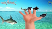Shark Finger Family Songs | Shark Attacks | Sea Animals Finger Family Nursery Rhymes For Children