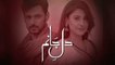 Dil e Jaanam New Drama Coming Soon on Hum Tv