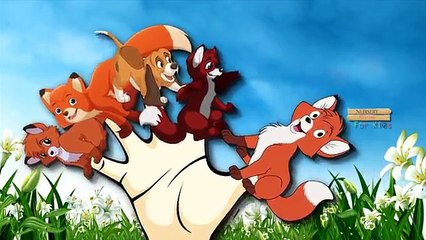 Finger Family Nursery Rhymes The Fox And The Hound Cartoon | Finger Family Rhymes For Children