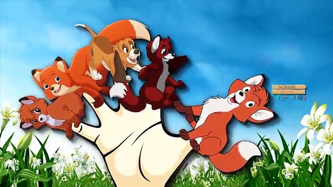 Finger Family Nursery Rhymes The Fox And The Hound Cartoon | Finger Family Rhymes For Children