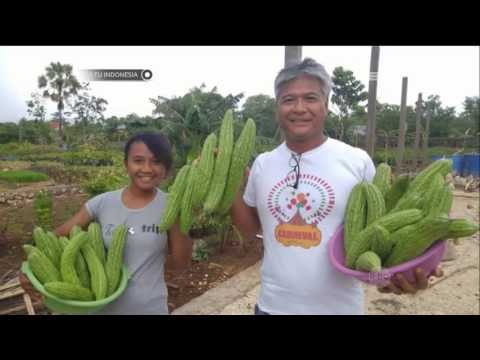 Satu Indonesia - Budi Soehardi, Mantan Pilot Berhati Mulia yang Mengabdikan Diri bagi Anak anak NTT