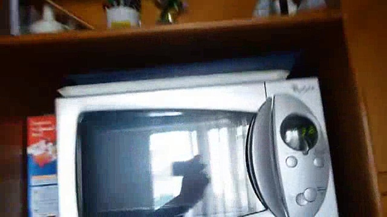 Partay Animals_6