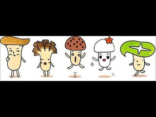 【ホクト　ＣＭソング】　きのこのうた