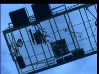 Saut à l'élastique