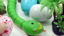 Toy Snakes Robotic Remocon Jungle Learn Colors Slime Toy Surprise Egss YouTube