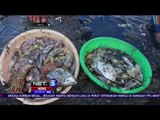 Ribuan Ikan Mati Keracunan Limbah di Pantai Paciran Lamongan - NET5