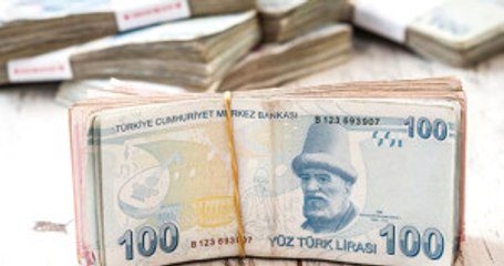 Köylüye 55 Bin Lira Ağaç Desteği Verilecek