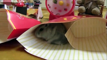 飯田祐巳が癒される♡メガポテトが欲しいでチュー　I-would-like-to-buy-French-fries.