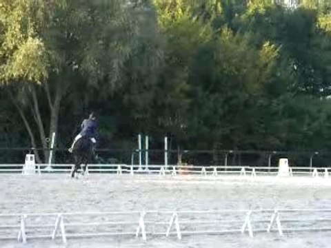 Videos dressage 013
