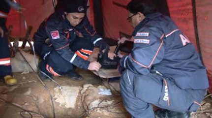 Beykoz'da Kuyuya Düşen Köpeği Kurtarma Çalışmaları Gece de Devam Ediyor
