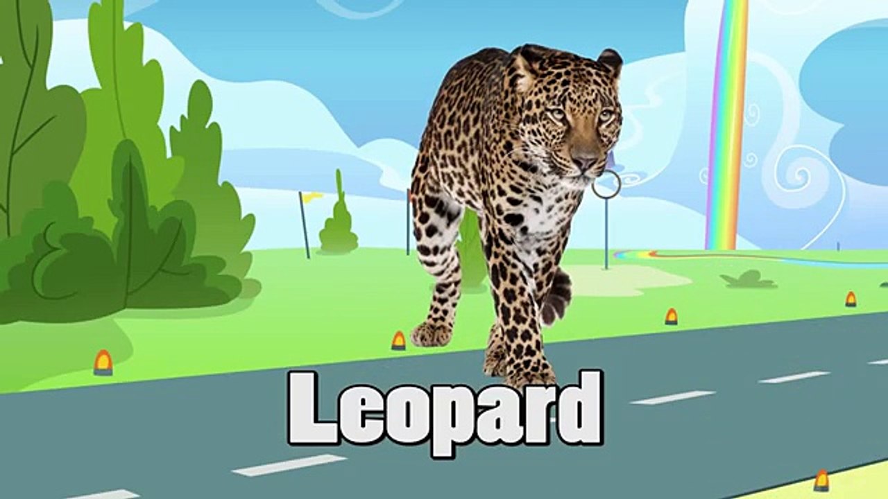 Kinder Surprise Eggs Wild Life Animals For Kids | Learn Wild Animals& Animals Sound Names