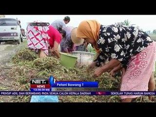 Banjir Rendam Puluhan Hektar Ladang Cabai - NET 12