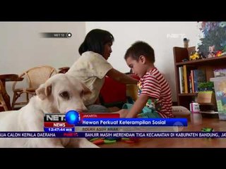 Hewan Peliharaan bagi Tumbuh Kembang Anak - NET 12