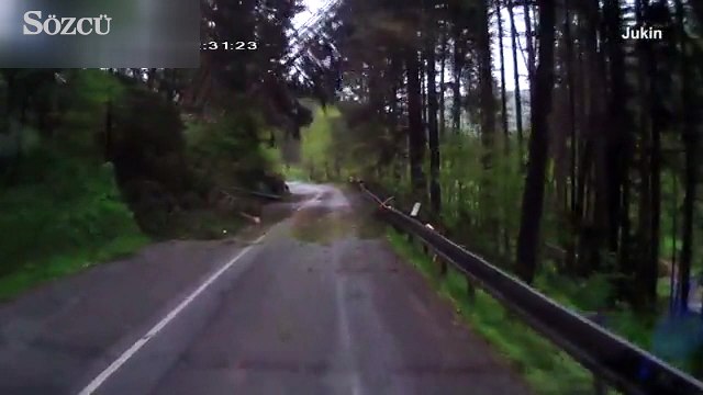 Yol kenarındaki ağaçlar bir anda devrilmeye başladı