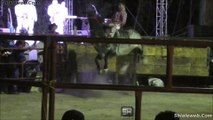 EL MEJOR JARIPEO EN XAYA 2017 LOS TOROS MAS GRANDES Y SALVAJOTES DE LA MEJOR GANADERIA FEB 2017