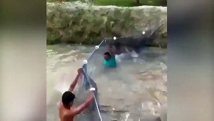 Exemple d'une attaque DDoS