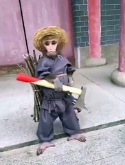 skilled monkey it moves like a human