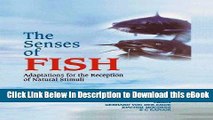 PDF [DOWNLOAD] The Senses of Fish: Adaptations for the Reception of Natural Stimuli (Cancer