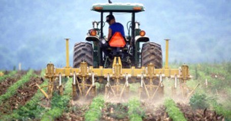 Başbakan Yıldırım: Çiftçilerin Borçlarını 5 Yıl Yapılandıracağız