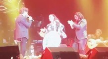 Isabel Pantoja -algo se muere en el alma- concierto Madrid 2017