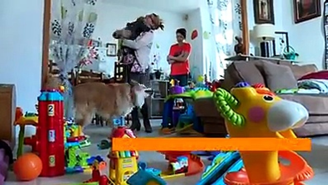 Chien d'éveil pour petits enfants aveugle