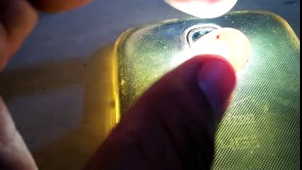 Budgies Parrots ke eggs ko check karna Fertile eggs ki nishania in Urdu_Hindi. -
