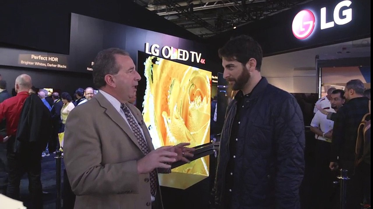 LG Electronics OLED65E6P OLED TV