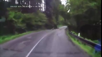 Driving through the woods