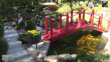 AquaRev le bassins a koi de Georges