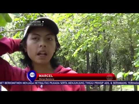 Taman Khusus Satwa Kesayangan - NET 12