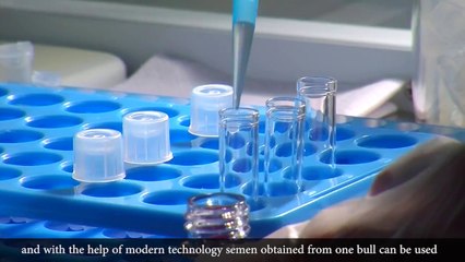 Training Video Module Breeding