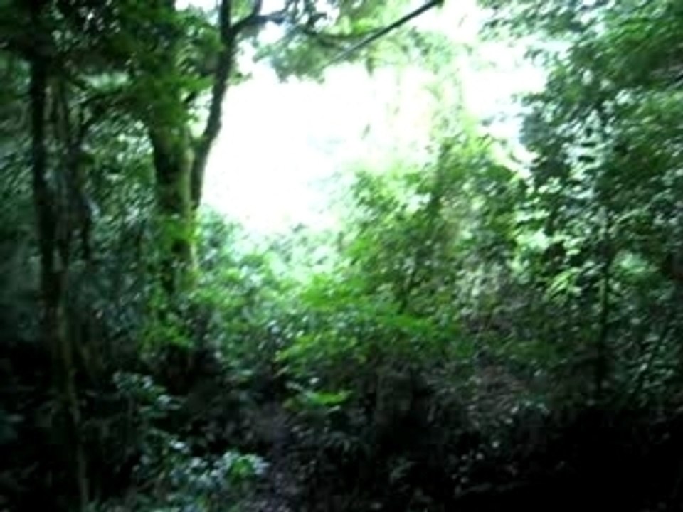 Canoping in Monteverde - Cable view