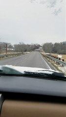 Elle fonce en voiture sur des oiseaux pensant qu'ils s'envoleraient