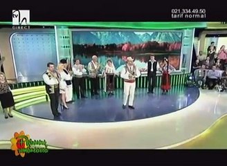 Daniel Trifu - Frumoasa-i noaptea de vara (Petrecere romaneasca - Tvh - 26.10.2013)