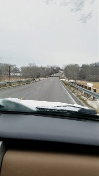 Elle fonce en voiture sur des oiseaux