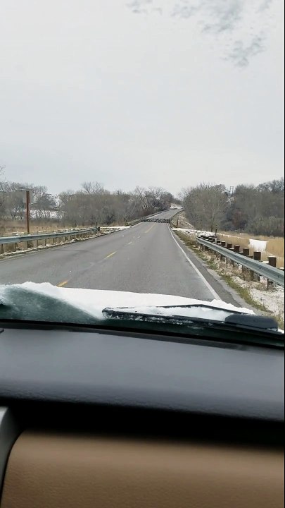 Elle fonce en voiture sur des oiseaux