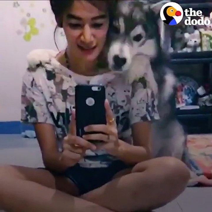 Elle fait un selfie, mais le chien fait tout pour en faire partie. Regardez…