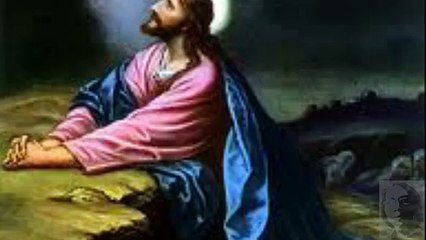 TIẾNG VỌNG ĐÊM VƯỜN DẦU by Trầm Thiên Thu