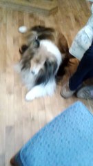 Be A Good Boy