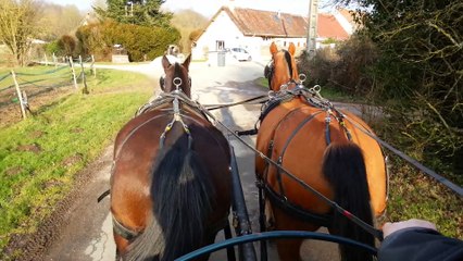 FRANCHES MONTAGNES LIBERTY en paire avec HERMES