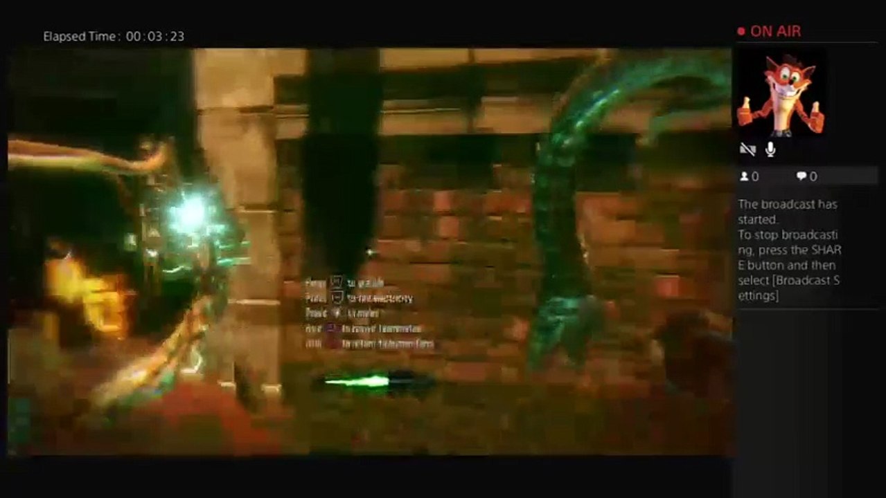 Bo3 gameplay (30)