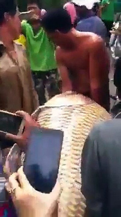 سبحان الله