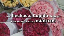Las flechas de Cupido llegan a los enamorados asiáticos