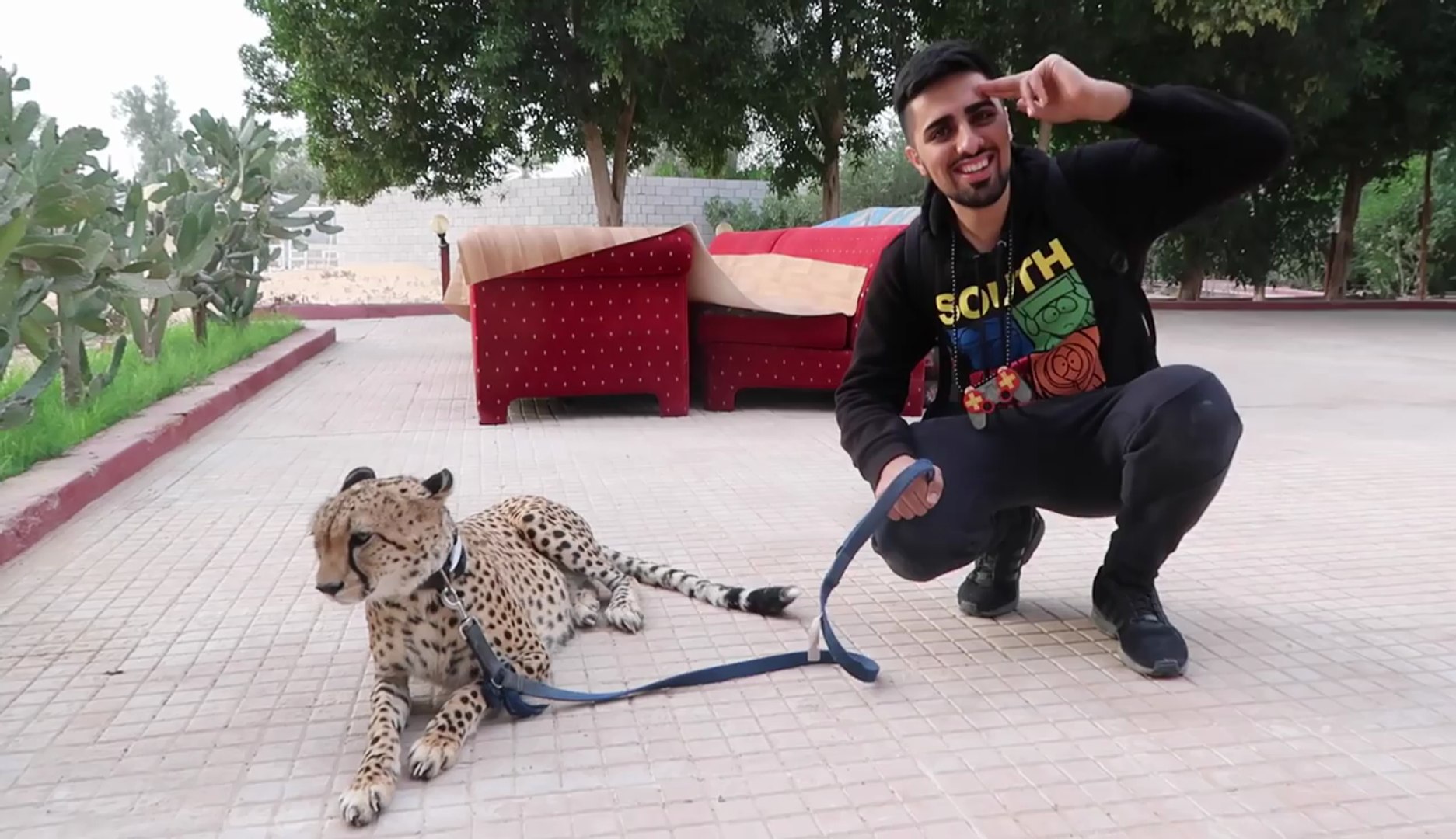 PETS OF DUBAI !!!