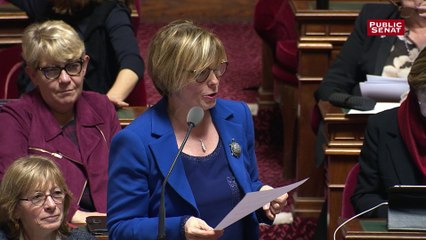 Délit d'entrave numérique à l'IVG : le Sénat rétablit sa version du texte