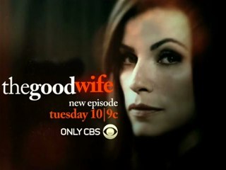 The Good Wife - Promo - 1x21