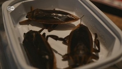 Restaurante japonês tem cardápio com insetos