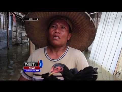 Banjir Luapan Sungai Bengawan Solo Masih Merendam Pemukiman Warga - NET5